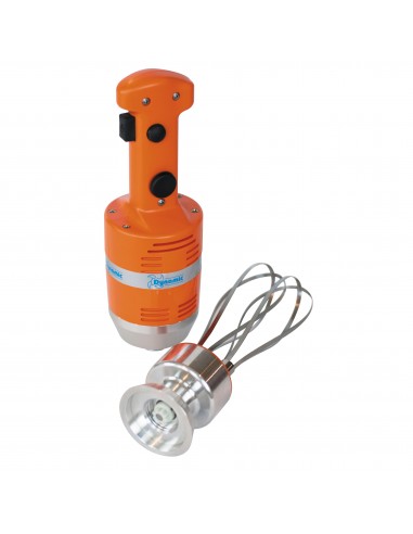 Mixer Immersione Smontabile con Variatore Lunghezza Frusta 185 mm