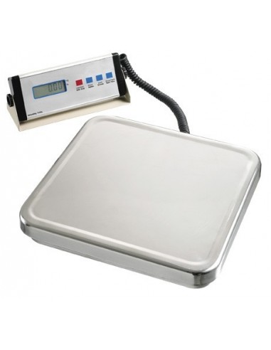 Bilancia Elettronica Peso Max 60 Kg - Divisione 20 Gr - BP4548