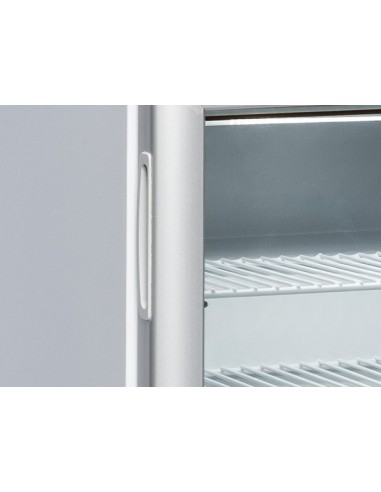 Congelatore Verticale Statico 50 Lt - Luce Led - RNG50