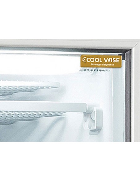 Congelatore Verticale 300Lt  Digitale - Porta Vetro - TNG390C