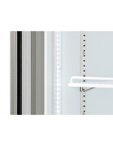 Congelatore Verticale Ventilato Capacità 560 Lt - Led - RFG750