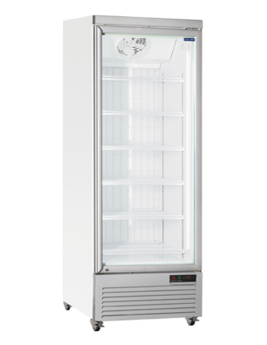 Congelatore Verticale Ventilato Capacità 560 Lt - Led - RFG750
