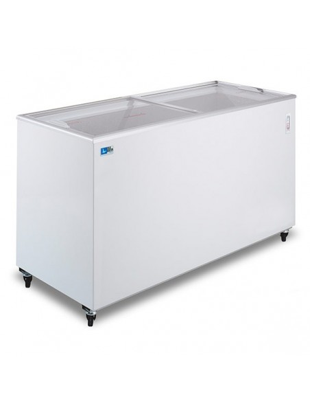 Pozzetto Congelatore Vetro Scorrevole Piatto Capacità 325 Lt - FVS400