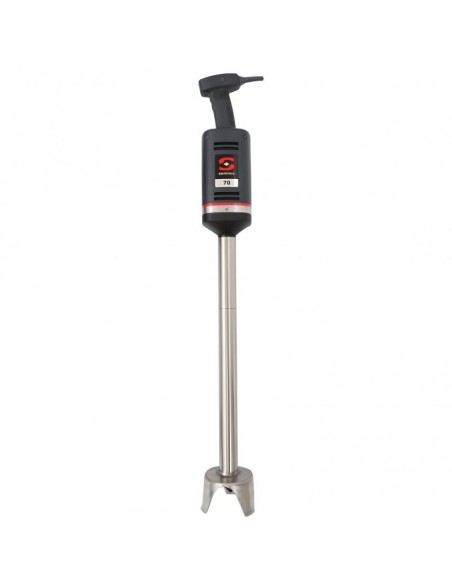 Frullatore ad Immersione Velocità Fissa Lunghezza Asta da 540 mm