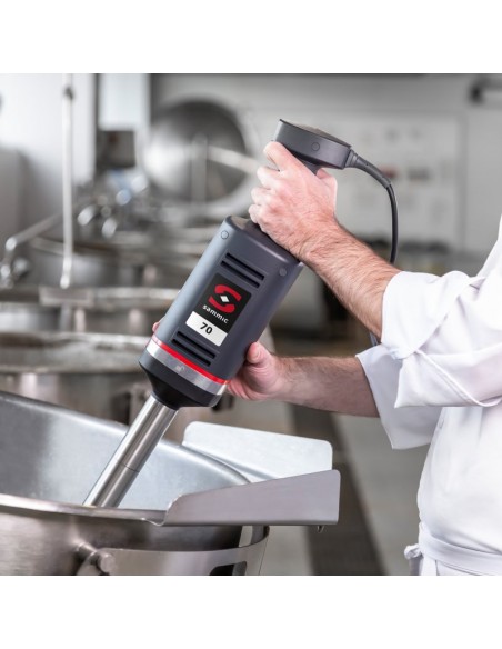 Frullatore ad Immersione Velocità Fissa Lunghezza Asta da 540 mm