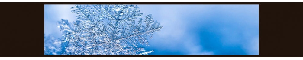 Freezer Acciaio Inox | Porta a Vetro o Cieca
