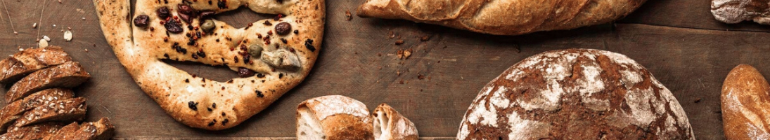 Forni Lievitatori Professionali per Pane e Pizza
