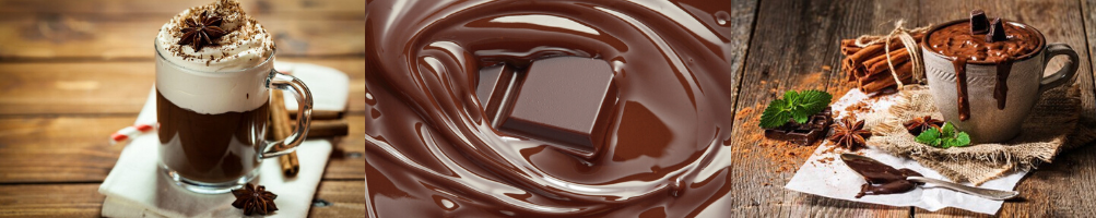 Cioccolatiera Elettrica per Caffetterie. Per creme dolci